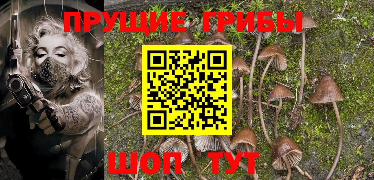Галлюциногенные грибы GOLDEN TEACHER  Вход с VPN  Холмск 