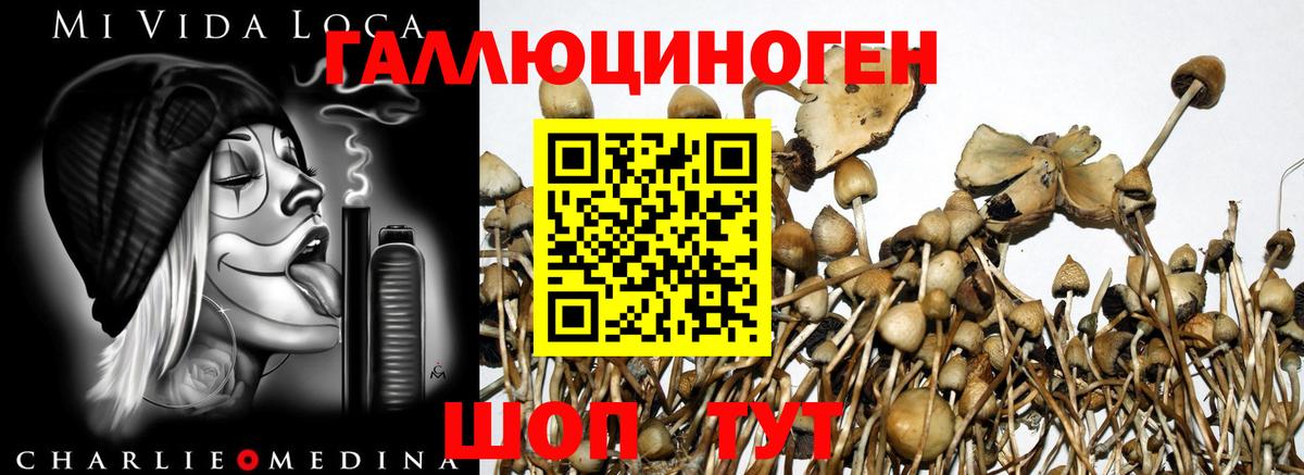 МЕФ   МАРИХУАНА  MDMA  Холмск  КОКАИН  Вход с VPN 