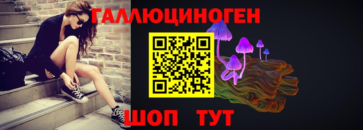 Псилоцибиновые грибы мицелий Холмск